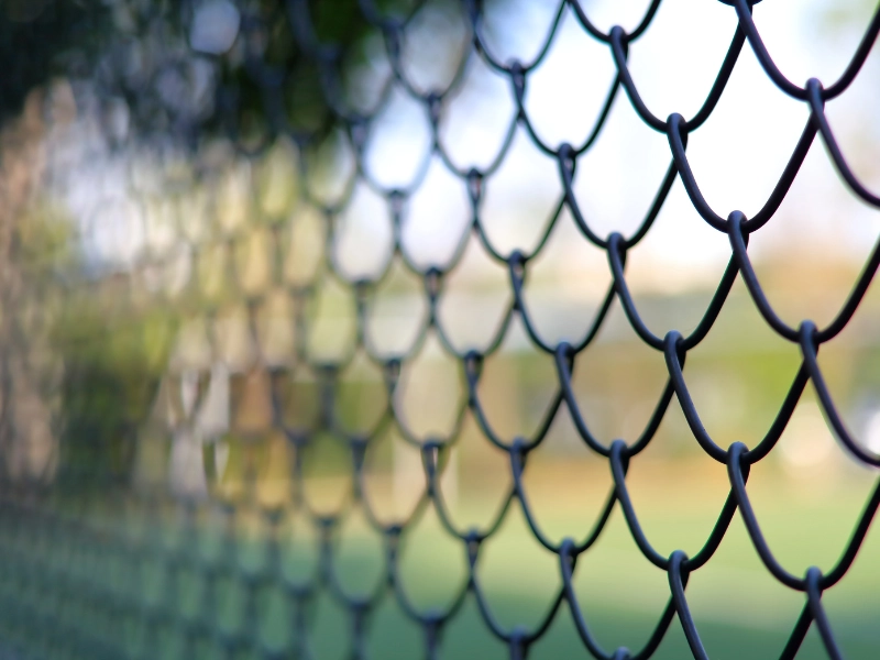 Welche Arten von Draht werden für die Herstellung von Zaunn