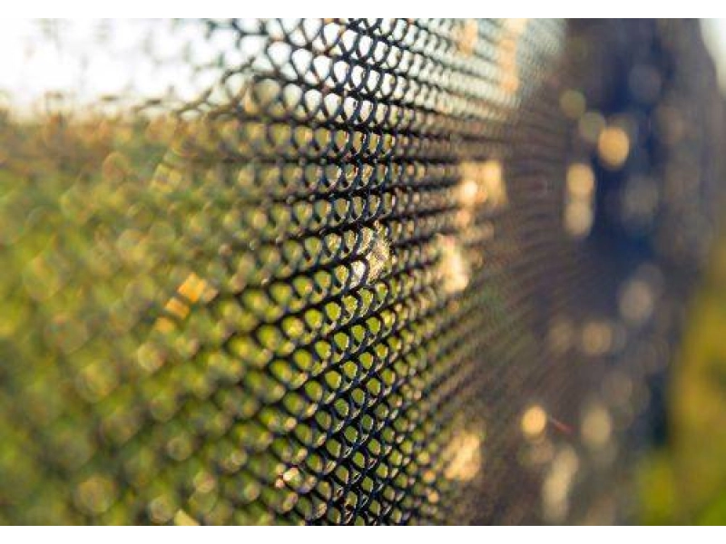 Was Sie beim Bau eines Forstmaschendrahtzauns beachten sollt