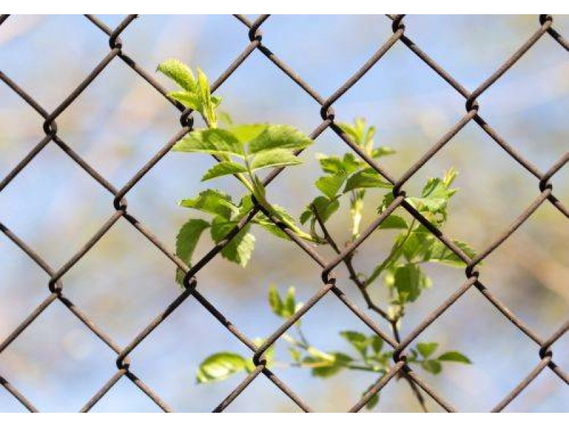 Wie kann man ein Zaunnetz abdecken?